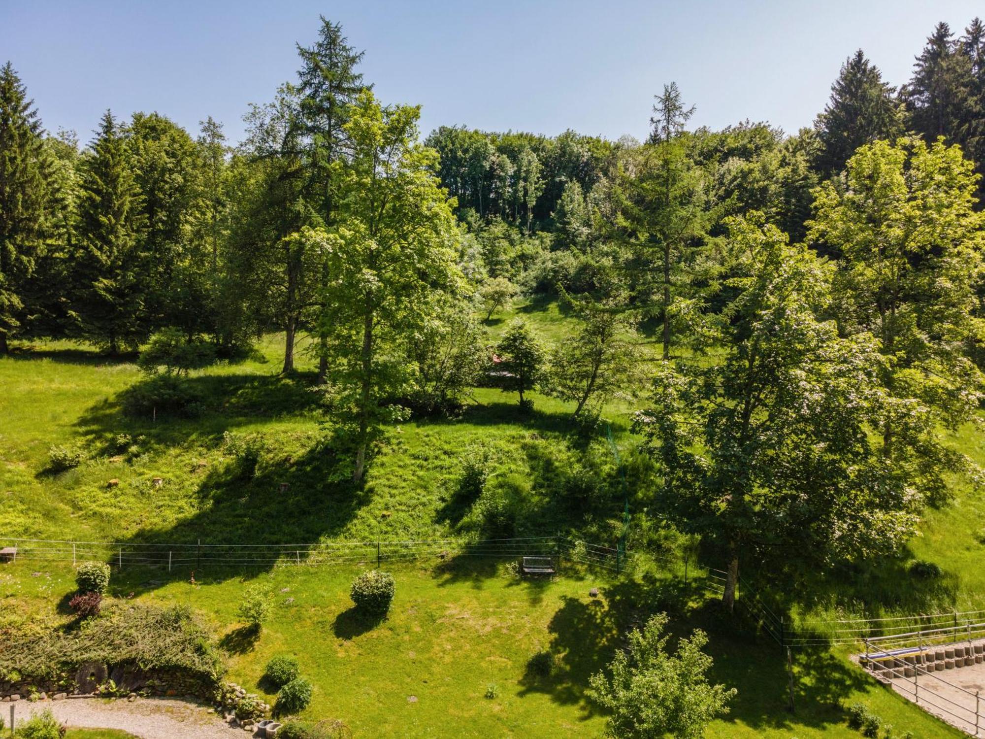 Apartmán Balzerberg Weiler-Simmerberg Exteriér fotografie